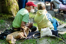 Niedziela pod znakiem Mrożka
