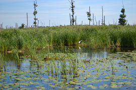 „Demonem“ po Pętli Żuławskiej