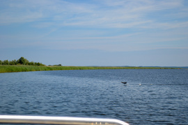 „Demonem“ po Pętli Żuławskiej