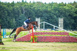 Dziennik Elbląski: Marzanny w jeziorze