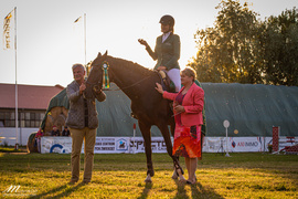 Pierwsze od lat zawody na kadyńskim hipodromie