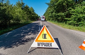 Wypadek w Jagodnie, droga 503 zablokowana zdjęcie nr 266491