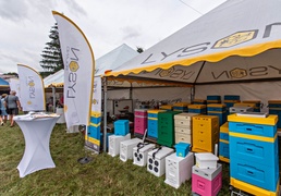 Pszczelarze świętują w Karczowiskach zdjęcie nr 266505