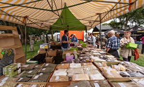 Pszczelarze świętują w Karczowiskach