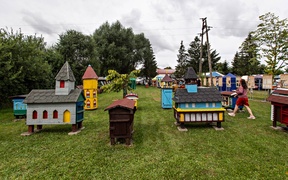 Pszczelarze świętują w Karczowiskach zdjęcie nr 266519