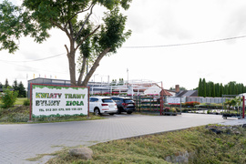 Nowy ogród na jesień