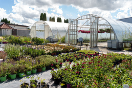 Nowy ogród na jesień