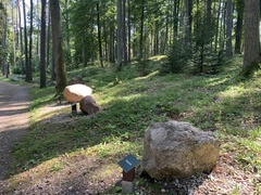 Leśne Arboretum Warmii i Mazur  (Na spacer z portEl.pl, odc. 17) 