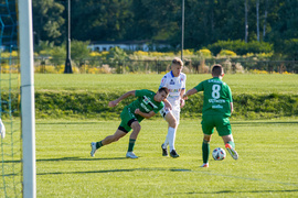 Paszporty niepotrzebne