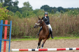 Urodzinowe skoki przez przeszkody