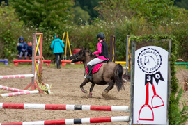 Urodzinowe skoki przez przeszkody