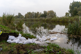 Przerwany wał na rzece Tina. Winne bobry