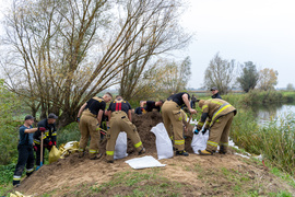 Przerwany wał na rzece Tina. Winne bobry