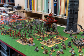 Biblioteka należy do graczy