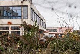 Budynki po byłym Truso wkrótce znikną