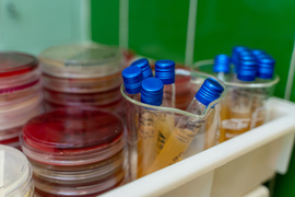 “Antybiotykoterapia musi być precyzyjna”