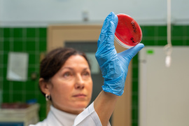 “Antybiotykoterapia musi być precyzyjna”