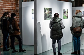 Trawa, wosk i Wszechświat. Nowa wystawa w Galerii EL