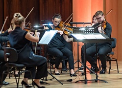 Muzyczny wieczór z kameralistami