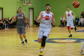 Podziurawiony kosz Wilków