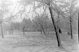 Elbląg podczas Grudnia 1970 w obiektywie (Elbląskie Archiwum Foto)