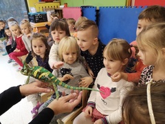 Przedszkole i Zerówka Małego Europejczyka - wspaniała zabawa i edukacja na najwyższym poziomie