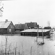 Wielka woda pod Elblągiem. Tak było 40 lat temu...  (Elbląskie Archiwum Foto) 