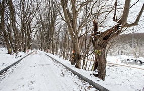 Tak powstaje Wschodnia