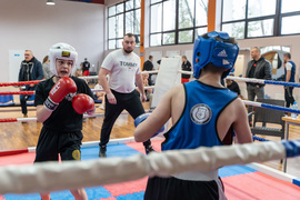 Tygrysy przed sezonem