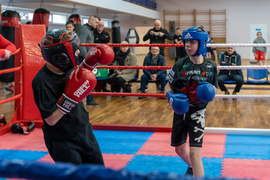 Tygrysy przed sezonem