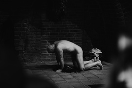 Transseksualne podróże i nobilitacja banałów w Galerii EL