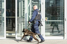 Alarm bombowy w Ogrodach. To tylko ćwiczenia