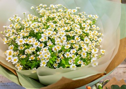 W Zielonym Gaju wiedzą, jak tworzyć piękno