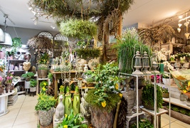 W Zielonym Gaju wiedzą, jak tworzyć piękno