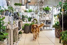 W Zielonym Gaju wiedzą, jak tworzyć piękno