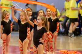 Handball Olimpia Elbląg
