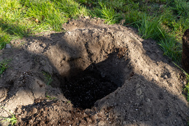 Ekologiczna mapa nasadzeń (bez aktualizacji)