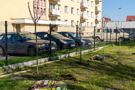 Ekologiczna mapa nasadzeń (bez aktualizacji)