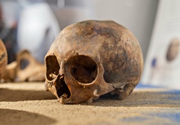 Historia wyczytana z kości