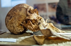 Historia wyczytana z kości