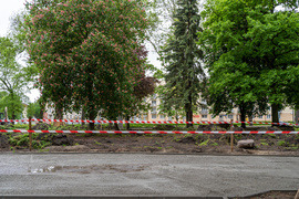 Tak zmienia się park Planty Tak zmienia się park Planty