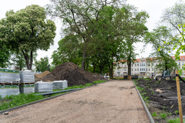 Tak zmienia się park Planty