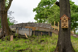 Tak zmienia się park Planty