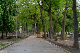 Tak zmienia się park Planty