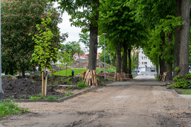 Tak zmienia się park Planty