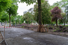 Tak zmienia się park Planty