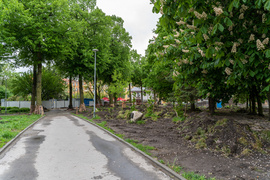 Tak zmienia się park Planty