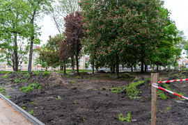 Tak zmienia się park Planty