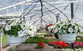 Pokaż Mamie, jak bardzo ją kochasz