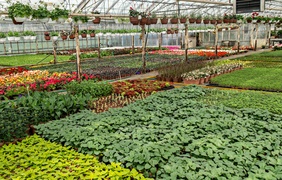 Pokaż Mamie, jak bardzo ją kochasz